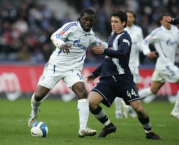 中重新组织 中重新组织